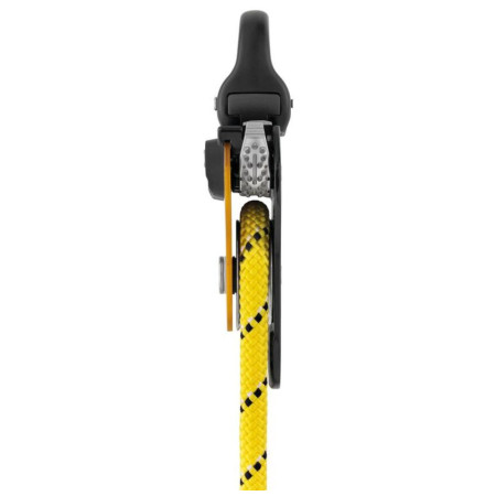 Шків Petzl Pro Traxion