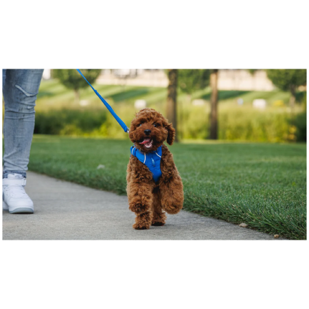 Повідець для собаки Ruffwear Front Range™ Leash