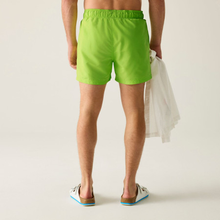 Плавки Regatta Mawson Swim Shorts III