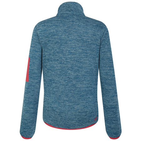 Жіноча толстовка Dare 2b W Torrek Fleece