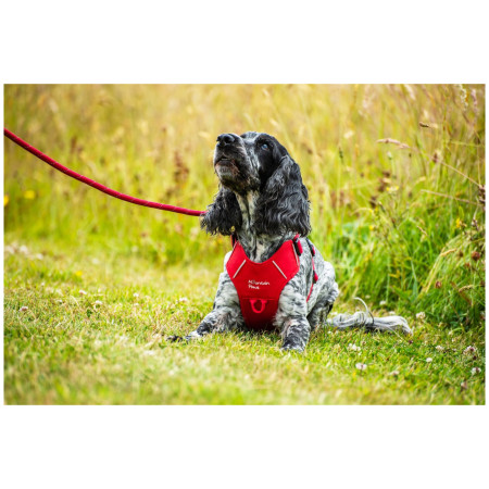 Шлея для собаки Mountain Paws Dog Harness