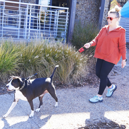Повідець для собаки Nite Ize RadDog™ Retractable Pocket Leash