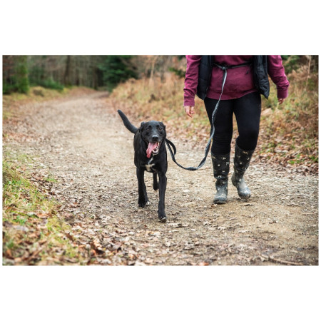 Повідець з амортизатором Mountain Paws Shock Absorber Dog Lead