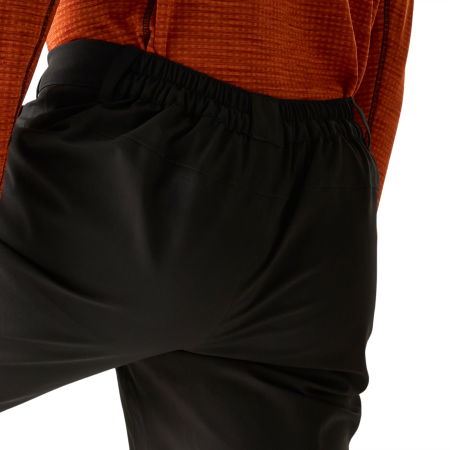 Чоловічі штани Regatta Highton WP Trousers