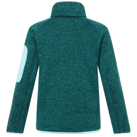 Дитяча толстовка Regatta Junior Newhill DrkForGlacGr