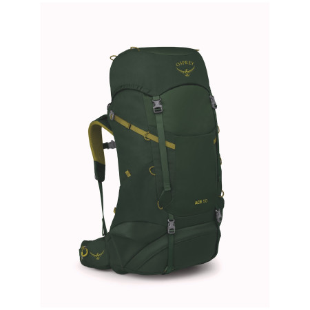 Дитячий рюкзак Osprey Ace 50 зелений green canopy/matcha green