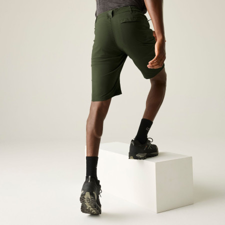 Чоловічі шорти Regatta Highton Shorts Long II