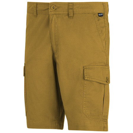 Чоловічі шорти Regatta Ruwan Shorts