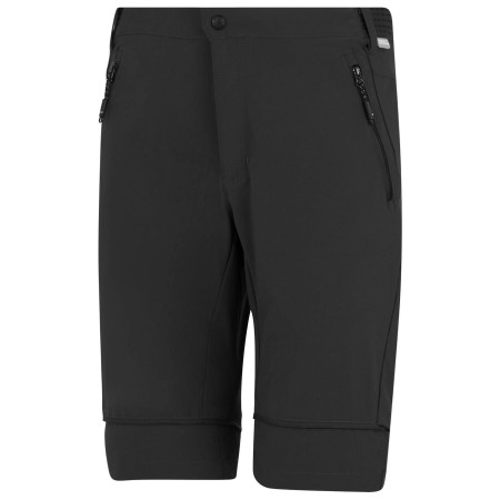 Чоловічі штани Regatta Mountain Z/O Trousers