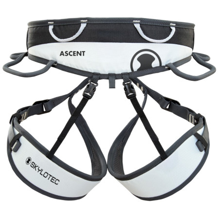 Альпіністська система Skylotec Ascent