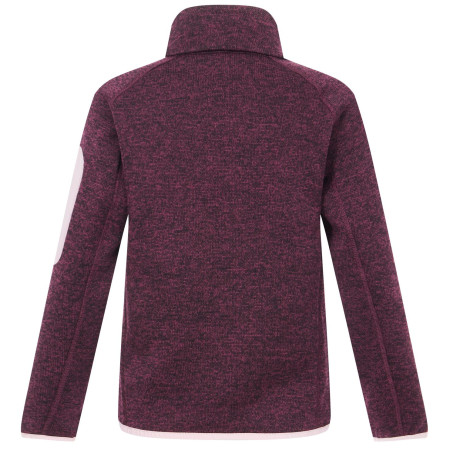 Дитяча толстовка Regatta Junior Newhill Fig Powder Lilac