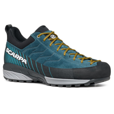Чоловічі черевики Scarpa Mescalito GTX