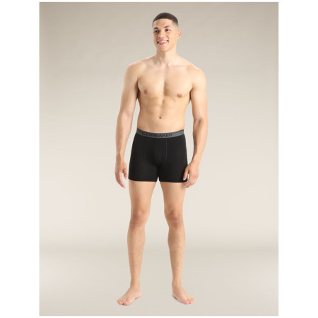 Чоловічі боксери Icebreaker Mens Anatomica Boxers