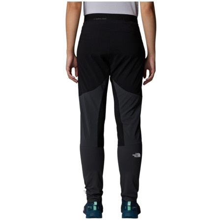 Жіночі функціональні штани The North Face Felik Slim Tapered Pant