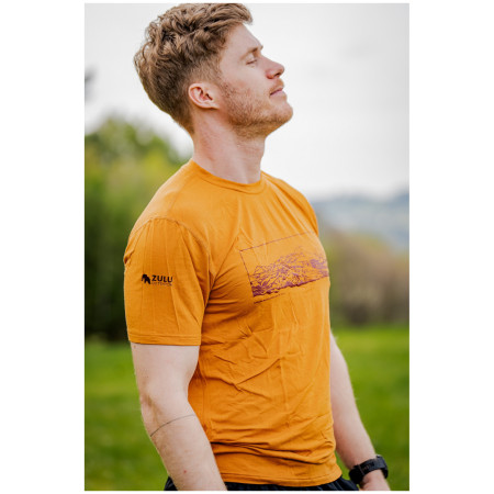 Чоловіча футболка Zulu Bambus Alpine 210 Short
