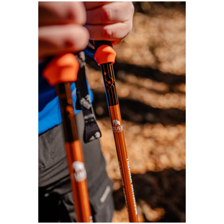 Трекінгові палиці Zulu Trekker Antishock