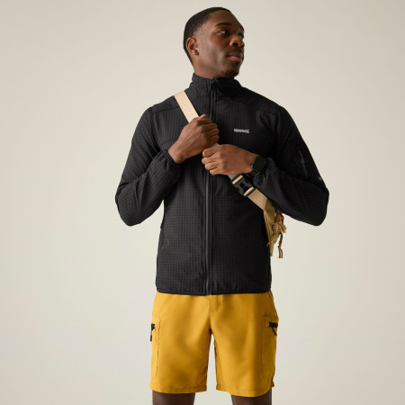 Чоловіча толстовка Regatta Baslinn