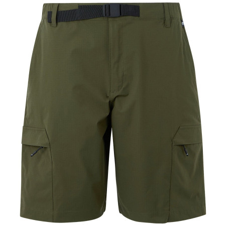 Чоловічі шорти Regatta Mallen Shorts зелений Dark Khaki