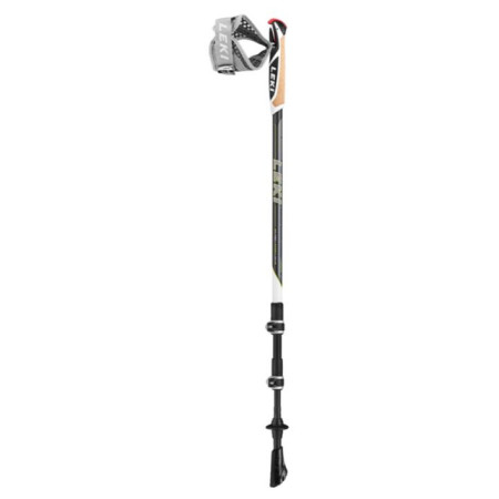 Палиці для скандинавської ходьби Leki Poles Traveller Carbon