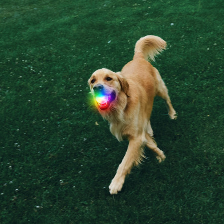 Іграшка для собак Nite Ize Glowstreak Rechargeable Led Ball