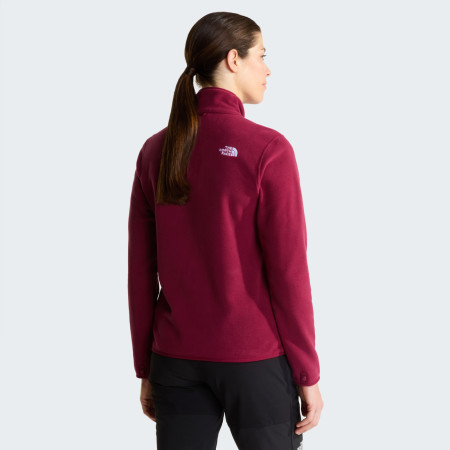 Жіноча кофта The North Face W Glacier Fleece Jacket