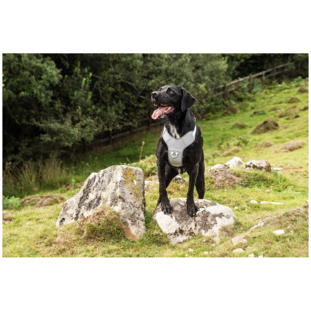 Шлея для собаки Mountain Paws Reflective Dog Harness