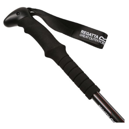 Трекінгові палиці Regatta CarbonWalkPlePair