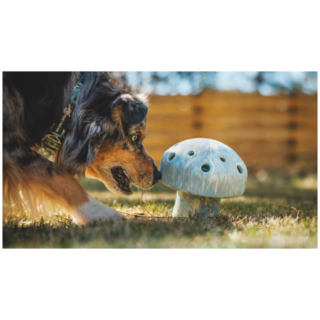 Іграшка для собак Ruffwear Porchini™