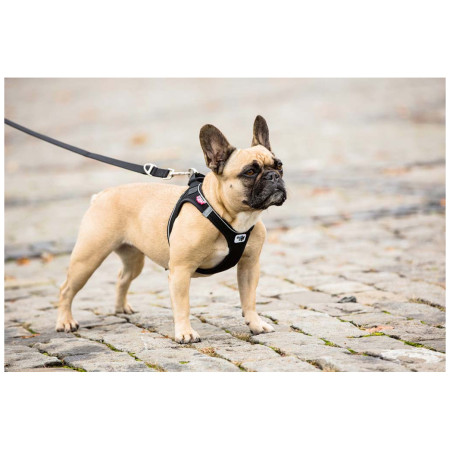 Повідець для собаки Curli Adjustable Leash Nylon