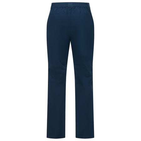 Чоловічі штани Regatta Highton WP Trousers