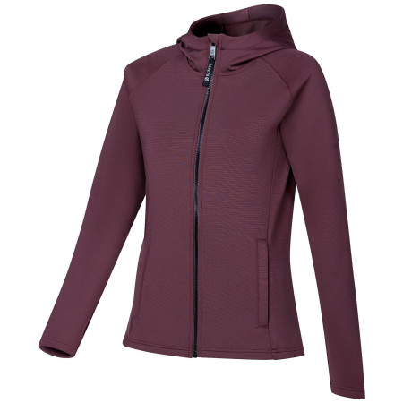 Жіноча толстовка Dare 2b Glacier Midlayer