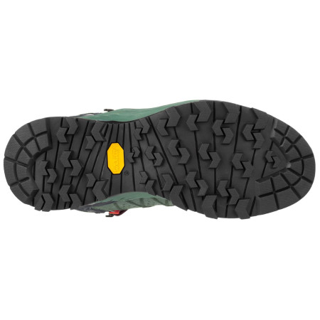 Жіночі черевики Salewa Ws Alp Trainer 2 Mid Gtx
