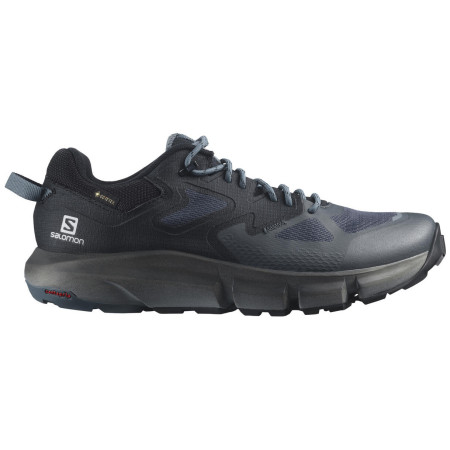 Чоловічі туристичні черевики Salomon Predict Hike Gtx чорний