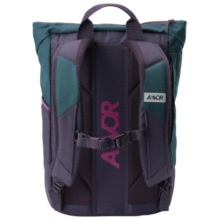 Рюкзак Aevor Day Pack FLX