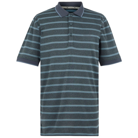 Чоловіча футболка Regatta Kildra сірий StormyWeathr