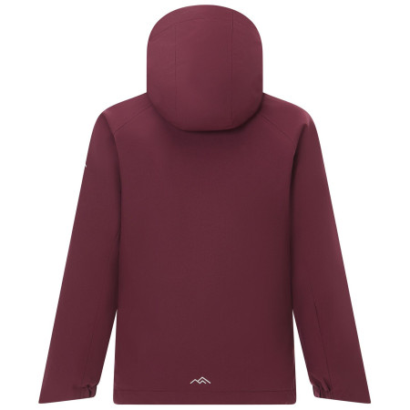 Зимова куртка для дівчини Regatta Girls Trekktain 3-in-1 II FigPowLilac