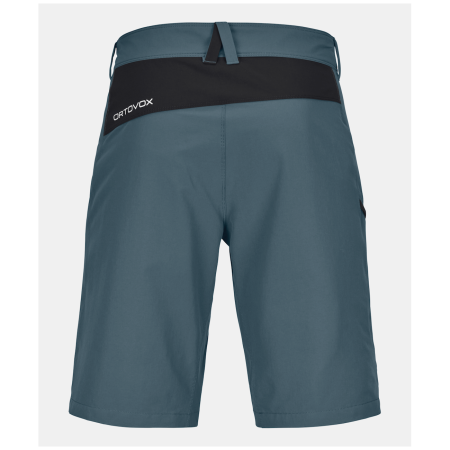 Чоловічі шорти Ortovox Pelmo Shorts M