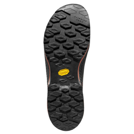 Чоловічі черевики La Sportiva TX4 Evo