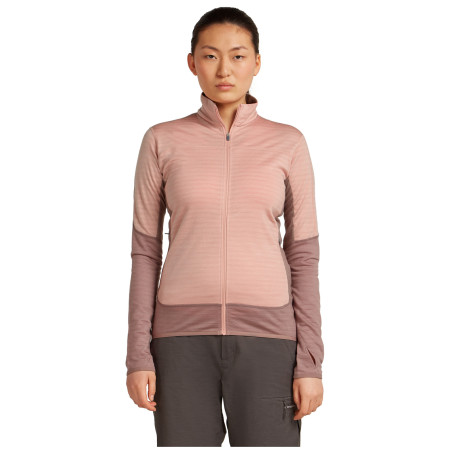 Жіноча функціональна толстовка Icebreaker Women Merino Blend 300 RealFleece™ Descender LS Zip