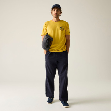 Чоловіча футболка Regatta Cline IX