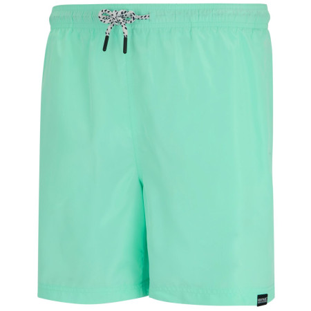 Чоловічі шорти Regatta Mackleyna Swim Short