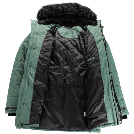 Чоловіча куртка Alpine Pro Werd