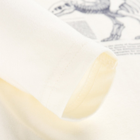 Дитяча футболка Alpine Pro Ecco 2