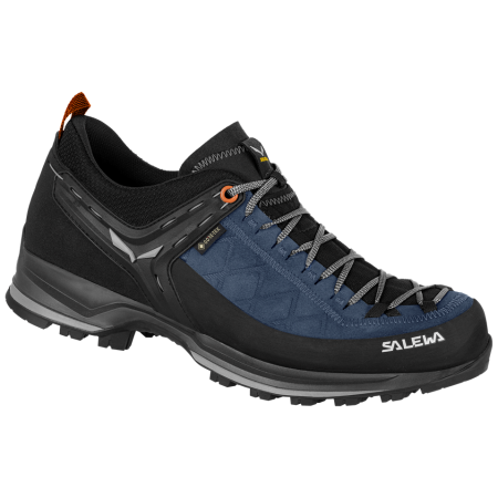 Чоловічі черевики Salewa Ms Mtn Trainer 2 Gtx