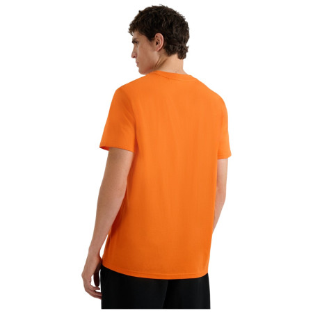 Чоловіча футболка 4F Tshirt M3138