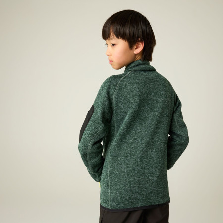 Дитяча толстовка Regatta Junior Newhill DrkForGlacGr