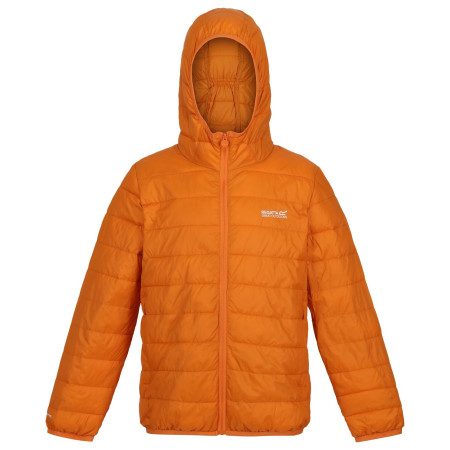 Дитяча куртка Regatta Jr Hooded Hillpck