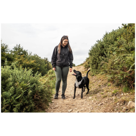 Шлея для собаки Mountain Paws Reflective Dog Harness