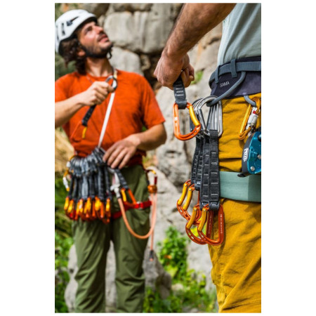 Система Petzl Sama