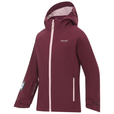 Зимова куртка для дівчини Regatta Girls Trekktain 3-in-1 II FigPowLilac